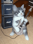 pic for CAT WITH GUITAR